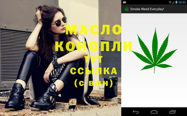 индика Абдулино