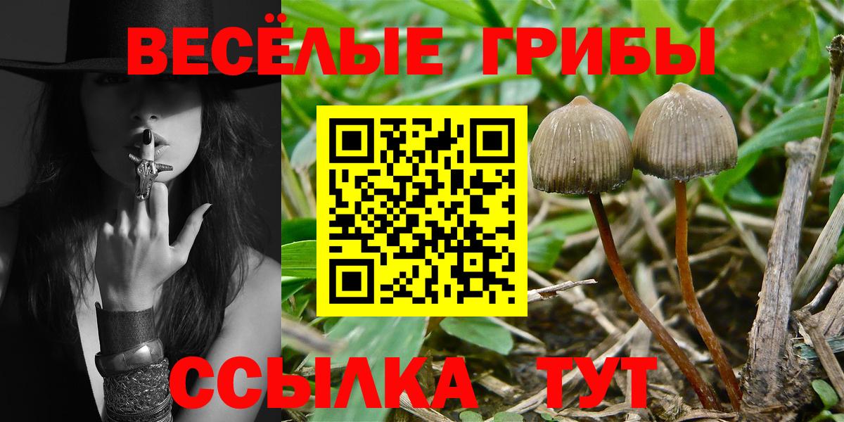 наркотики  Вход с VPN  Псилоцибиновые грибы Magic Shrooms  Кумертау  Псилоцибиновые грибы ЛСД 